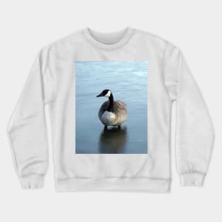 Evening Goose Crewneck Sweatshirt